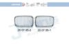 JOHNS 20 07 05-1 Radiator Grille